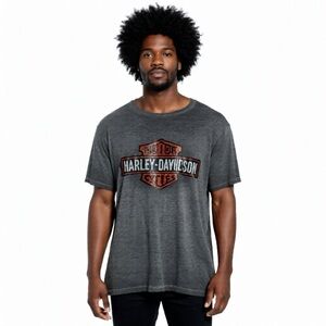 Harley-Davidson Gray Men's T-Shirt Size 2XL